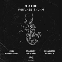 آهنگ جدید رضا هجری به نام پرواز تلخ